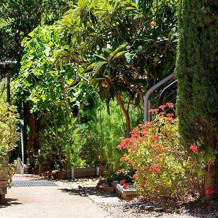 The Albion Motel Castlemaine Ngoại thất bức ảnh