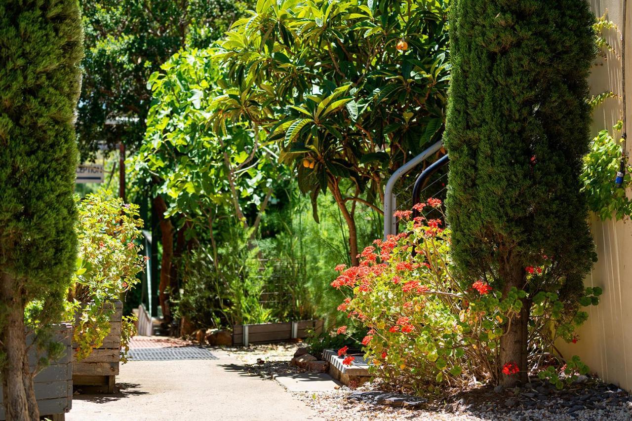 The Albion Motel Castlemaine Ngoại thất bức ảnh