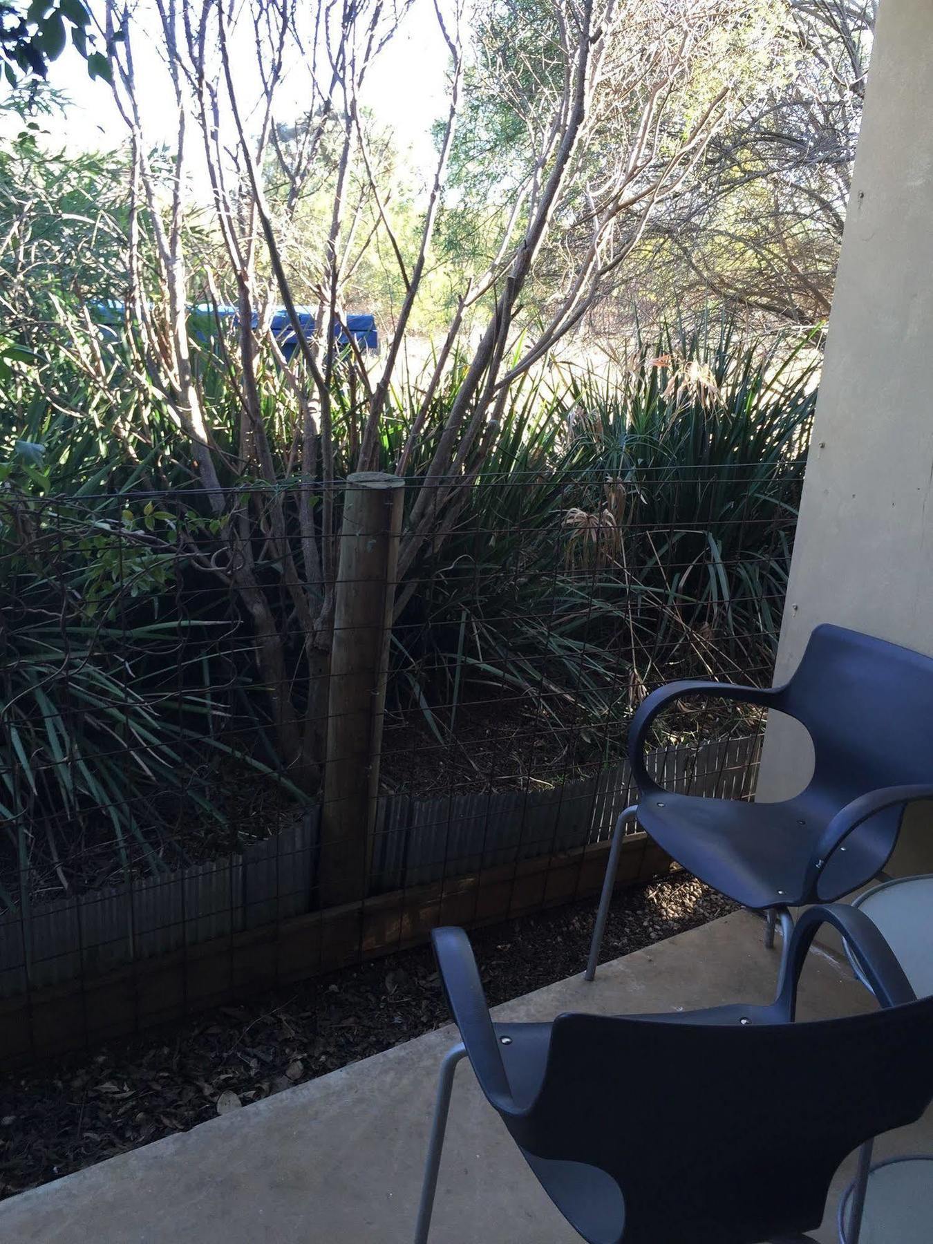 The Albion Motel Castlemaine Ngoại thất bức ảnh