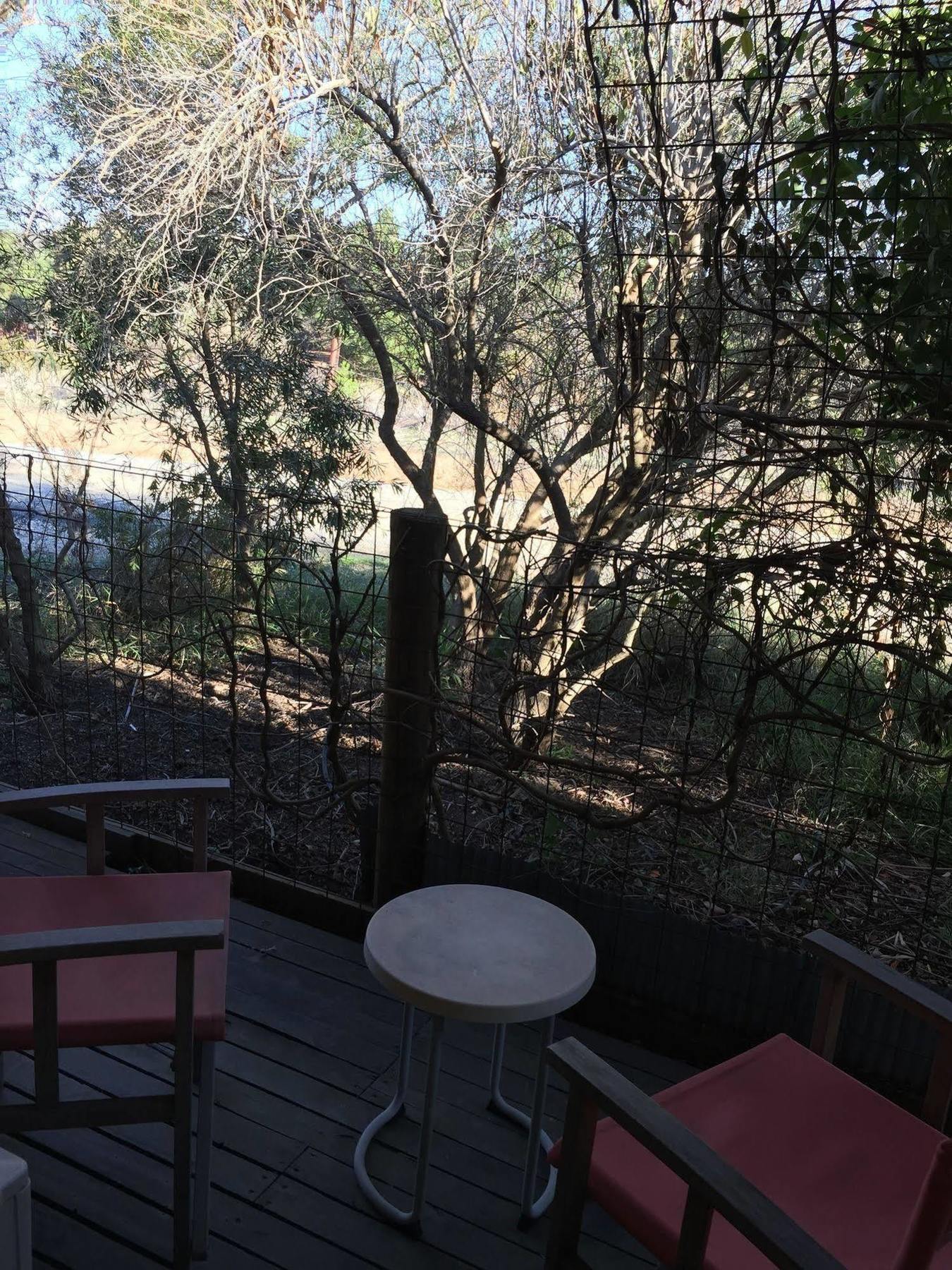 The Albion Motel Castlemaine Ngoại thất bức ảnh